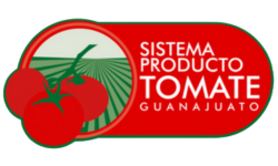 Comité Estatal del Sistema Producto Tomate de Edo Gto