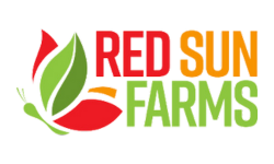 red sun farms